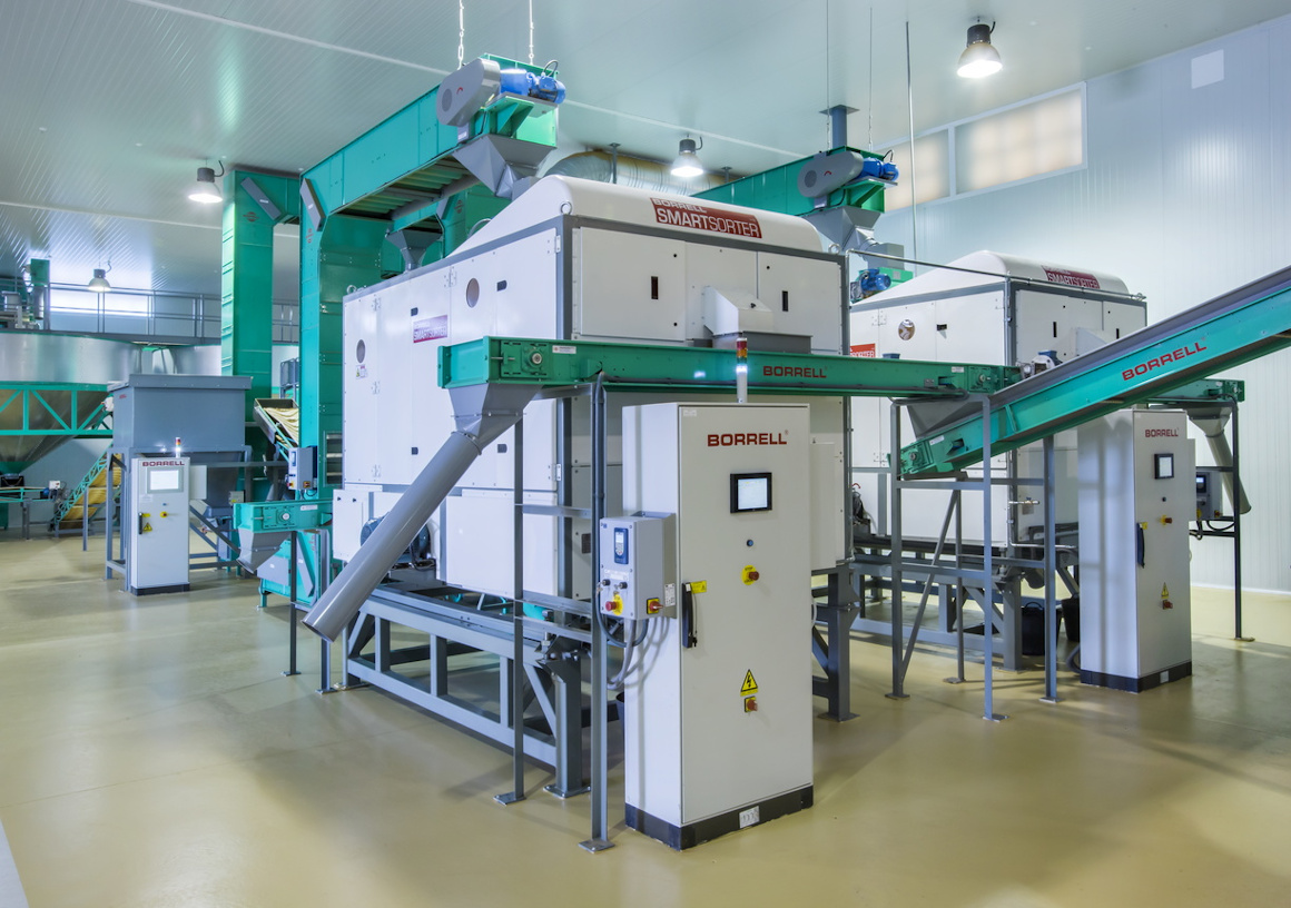 Máquinas Borrell Smart Sorter® integradas en lineas completas