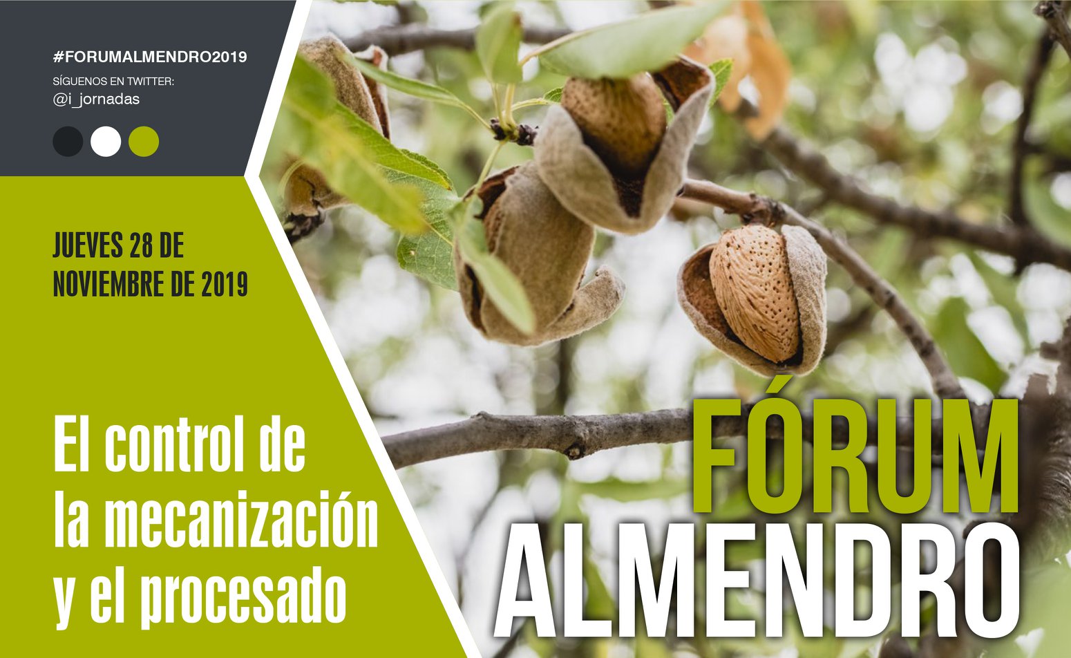 forum almendro 2019